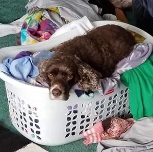 Meet your Posher, Jonna